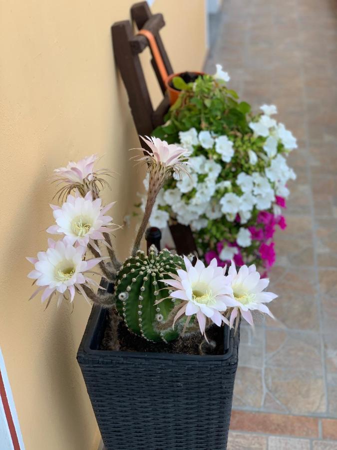 Bb Borgo Biella Bed & Breakfast Candelo Dış mekan fotoğraf
